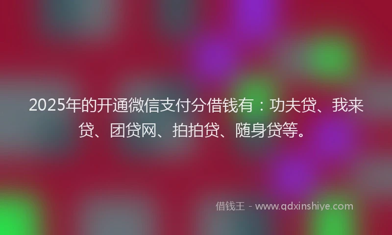 2025年的开通微信支付分借钱有：功夫贷、我来贷、团贷网、拍拍贷、随身贷等。
