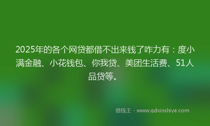 2025年的各个网贷都借不出来钱了咋力有：度小满金融、小花钱包、你我贷、美团生活费、51人品贷等。