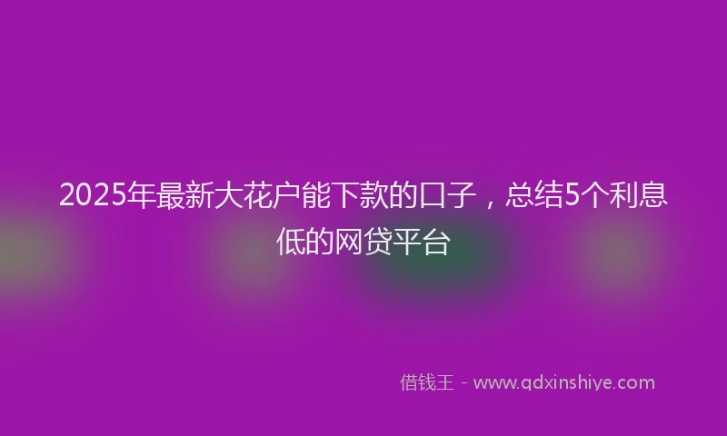 2025年最新大花户能下款的口子，总结5个利息低的网贷平台
