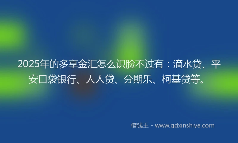 2025年的多享金汇怎么识脸不过有：滴水贷、平安口袋银行、人人贷、分期乐、柯基贷等。