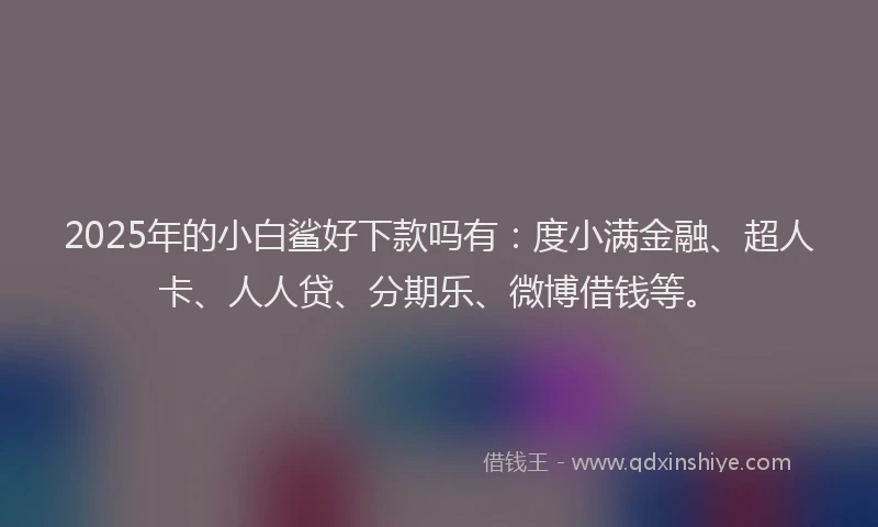 2025年的小白鲨好下款吗有：度小满金融、超人卡、人人贷、分期乐、微博借钱等。
