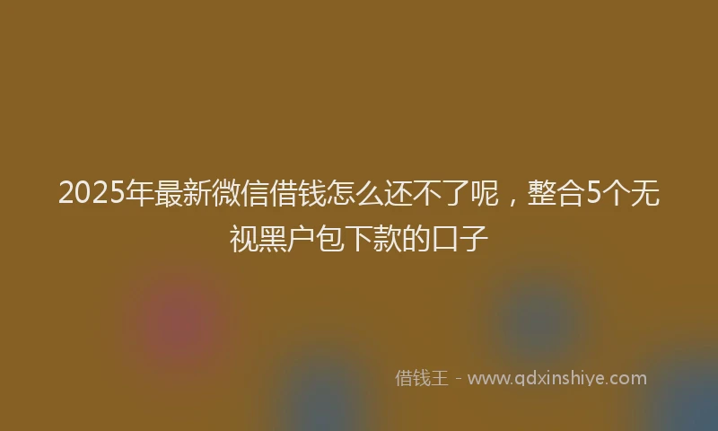 2025年最新微信借钱怎么还不了呢，整合5个无视黑户包下款的口子