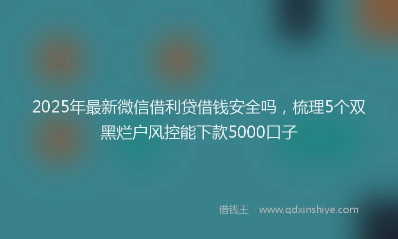 2025年最新微信借利贷借钱安全吗，梳理5个双黑烂户风控能下款5000口子