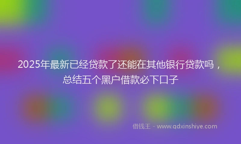 2025年最新已经贷款了还能在其他银行贷款吗，总结五个黑户借款必下口子