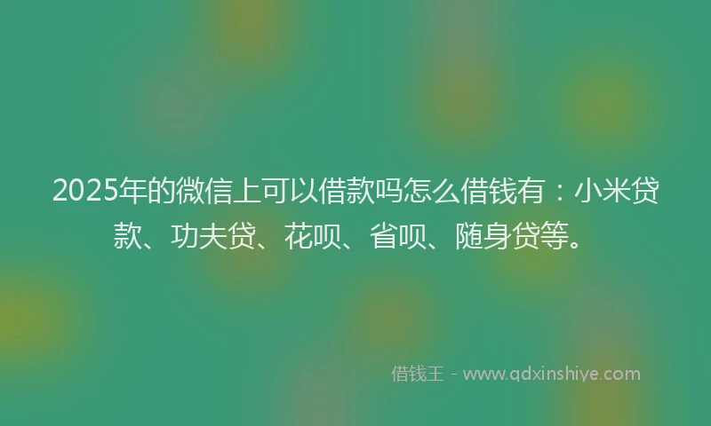 2025年的微信上可以借款吗怎么借钱有：小米贷款、功夫贷、花呗、省呗、随身贷等。