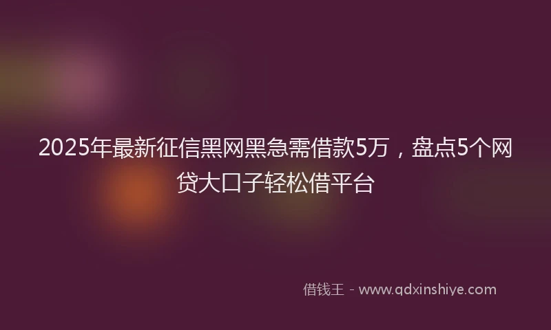 2025年最新征信黑网黑急需借款5万，盘点5个网贷大口子轻松借平台