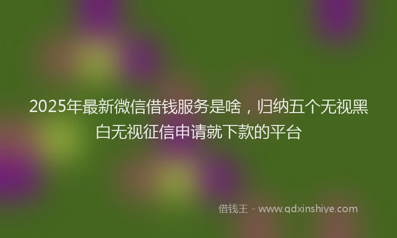 2025年最新微信借钱服务是啥，归纳五个无视黑白无视征信申请就下款的平台