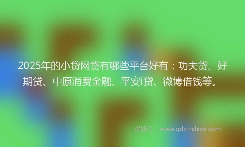 2025年的小贷网贷有哪些平台好有：功夫贷、好期贷、中原消费金融、平安i贷、微博借钱等。