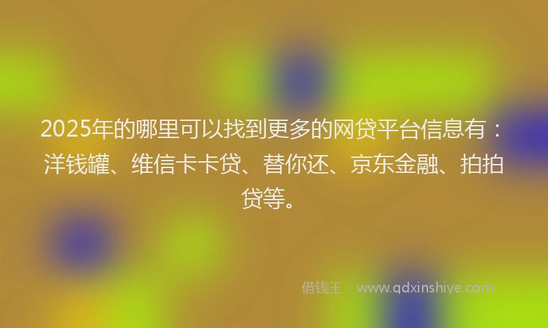 2025年的哪里可以找到更多的网贷平台信息有：洋钱罐、维信卡卡贷、替你还、京东金融、拍拍贷等。