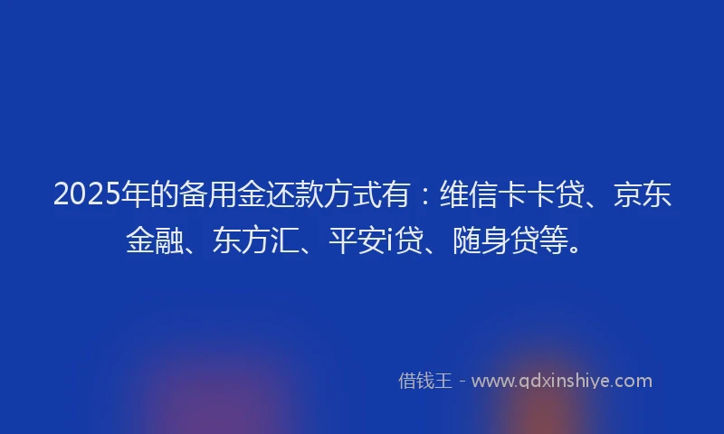 2025年的备用金还款方式有：维信卡卡贷、京东金融、东方汇、平安i贷、随身贷等。