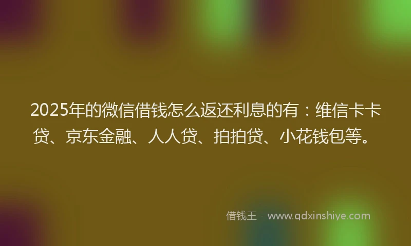 2025年的微信借钱怎么返还利息的有：维信卡卡贷、京东金融、人人贷、拍拍贷、小花钱包等。