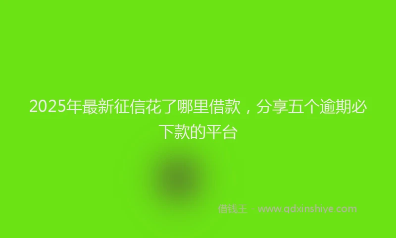 2025年最新征信花了哪里借款，分享五个逾期必下款的平台