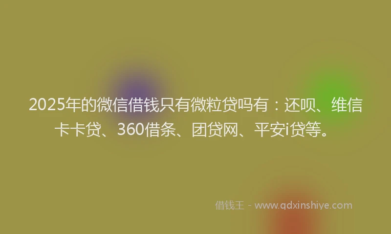 2025年的微信借钱只有微粒贷吗有：还呗、维信卡卡贷、360借条、团贷网、平安i贷等。