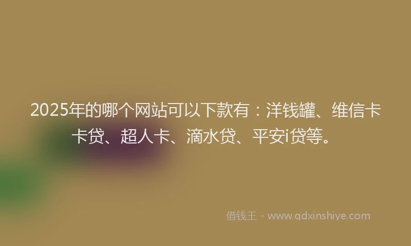 2025年的哪个网站可以下款有：洋钱罐、维信卡卡贷、超人卡、滴水贷、平安i贷等。
