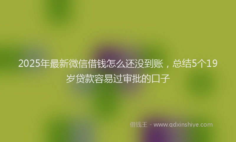 2025年最新微信借钱怎么还没到账，总结5个19岁贷款容易过审批的口子