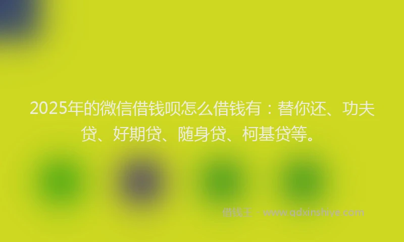 2025年的微信借钱呗怎么借钱有：替你还、功夫贷、好期贷、随身贷、柯基贷等。
