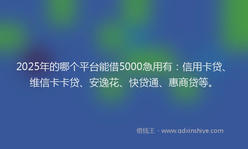2025年的哪个平台能借5000急用有：信用卡贷、维信卡卡贷、安逸花、快贷通、惠商贷等。