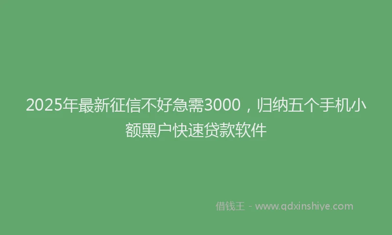 2025年最新征信不好急需3000，归纳五个手机小额黑户快速贷款软件