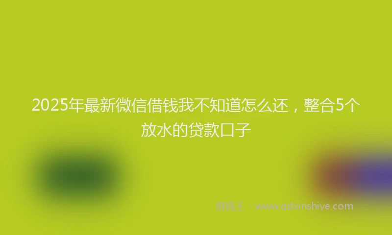 2025年最新微信借钱我不知道怎么还，整合5个放水的贷款口子