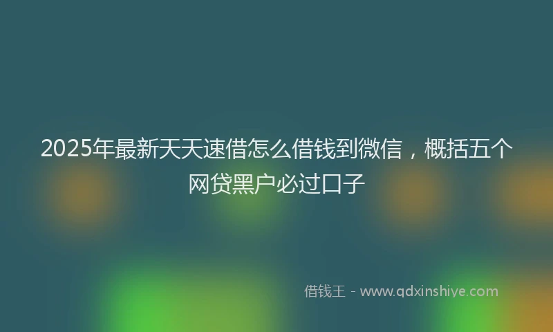 2025年最新天天速借怎么借钱到微信，概括五个网贷黑户必过口子