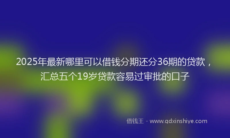 2025年最新哪里可以借钱分期还分36期的贷款，汇总五个19岁贷款容易过审批的口子