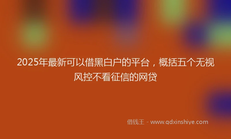 2025年最新可以借黑白户的平台，概括五个无视风控不看征信的网贷
