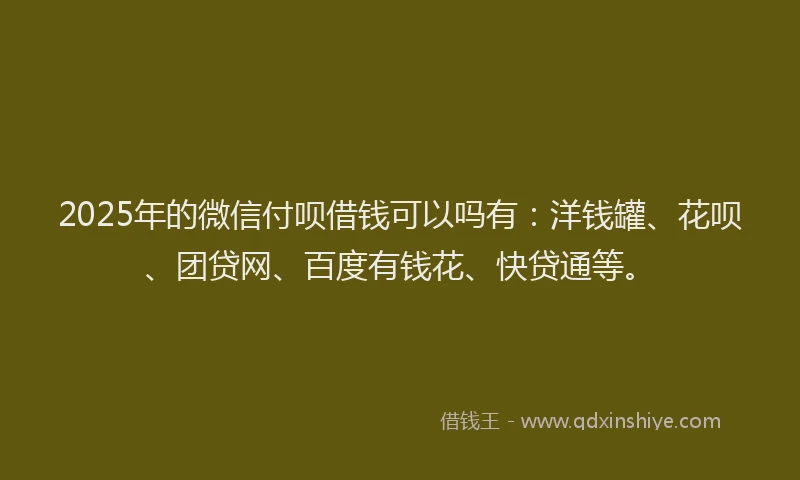 2025年的微信付呗借钱可以吗有:洋钱罐、花呗、团贷网、百度有钱花、快贷通等。