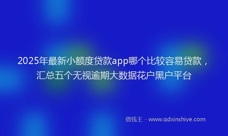 2025年最新小额度贷款app哪个比较容易贷款，汇总五个无视逾期大数据花户黑户平台