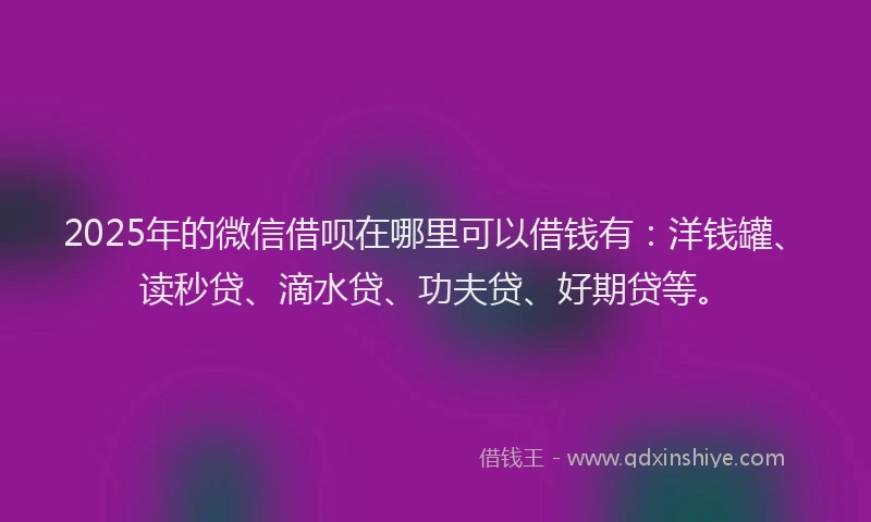 2025年的微信借呗在哪里可以借钱有：洋钱罐、读秒贷、滴水贷、功夫贷、好期贷等。