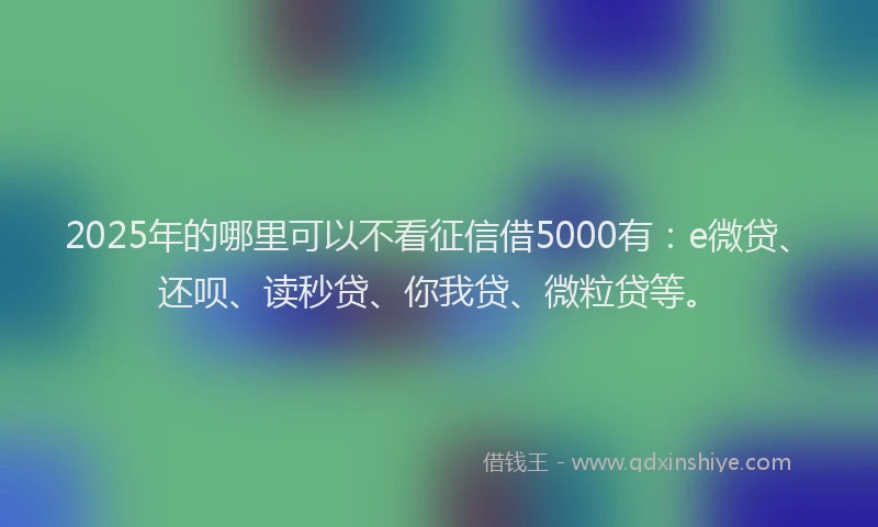 2025年的哪里可以不看征信借5000有：e微贷、还呗、读秒贷、你我贷、微粒贷等。