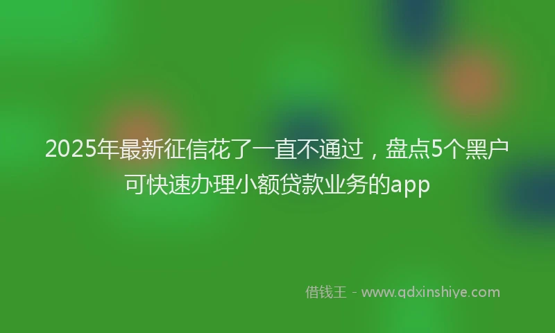 2025年最新征信花了一直不通过，盘点5个黑户可快速办理小额贷款业务的app