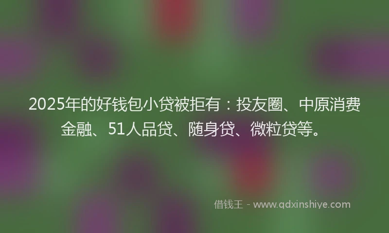 2025年的好钱包小贷被拒有：投友圈、中原消费金融、51人品贷、随身贷、微粒贷等。
