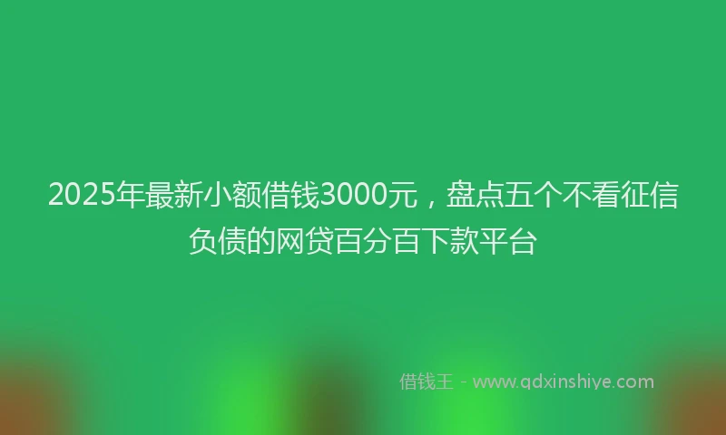 2025年最新小额借钱3000元，盘点五个不看征信负债的网贷百分百下款平台