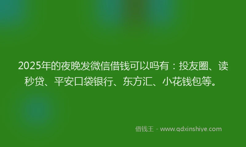 2025年的夜晚发微信借钱可以吗有：投友圈、读秒贷、平安口袋银行、东方汇、小花钱包等。