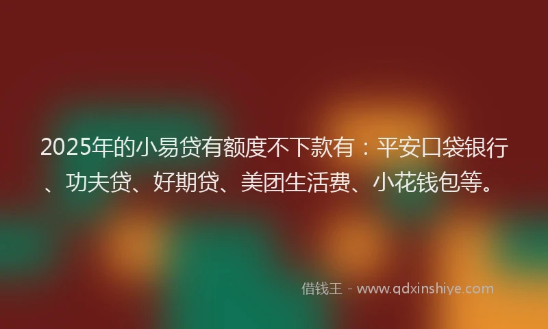 2025年的小易贷有额度不下款有：平安口袋银行、功夫贷、好期贷、美团生活费、小花钱包等。
