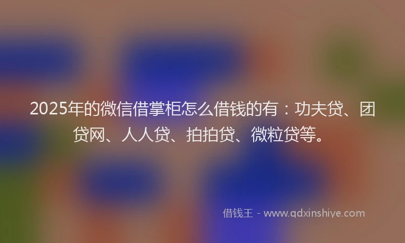 2025年的微信借掌柜怎么借钱的有：功夫贷、团贷网、人人贷、拍拍贷、微粒贷等。