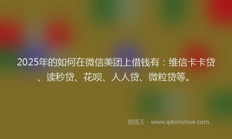 2025年的如何在微信美团上借钱有：维信卡卡贷、读秒贷、花呗、人人贷、微粒贷等。