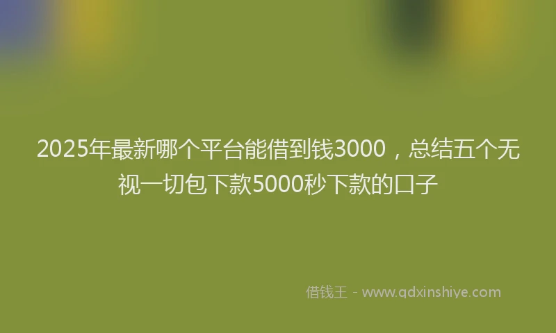 2025年最新哪个平台能借到钱3000，总结五个无视一切包下款5000秒下款的口子