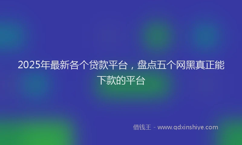 2025年最新各个贷款平台，盘点五个网黑真正能下款的平台