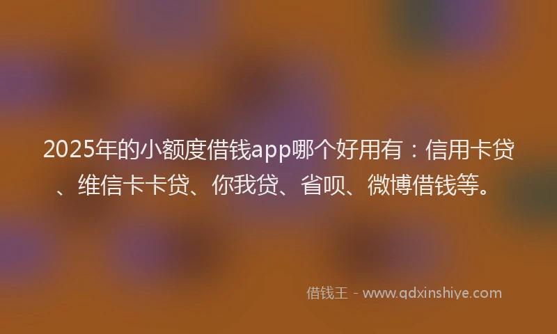 2025年的小额度借钱app哪个好用有：信用卡贷、维信卡卡贷、你我贷、省呗、微博借钱等。