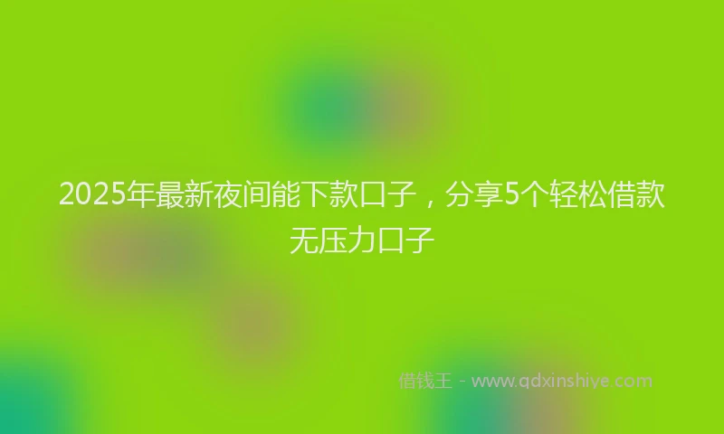 2025年最新夜间能下款口子，分享5个轻松借款无压力口子