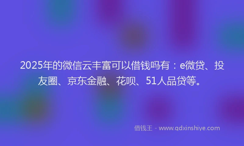 2025年的微信云丰富可以借钱吗有：e微贷、投友圈、京东金融、花呗、51人品贷等。