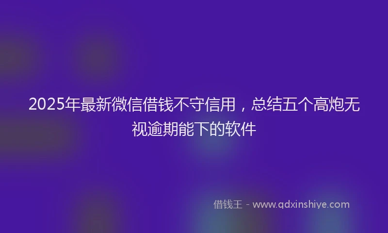 2025年最新微信借钱不守信用，总结五个高炮无视逾期能下的软件