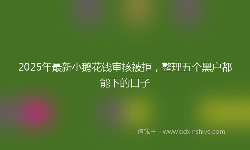 2025年最新小鹅花钱审核被拒，整理五个黑户都能下的口子