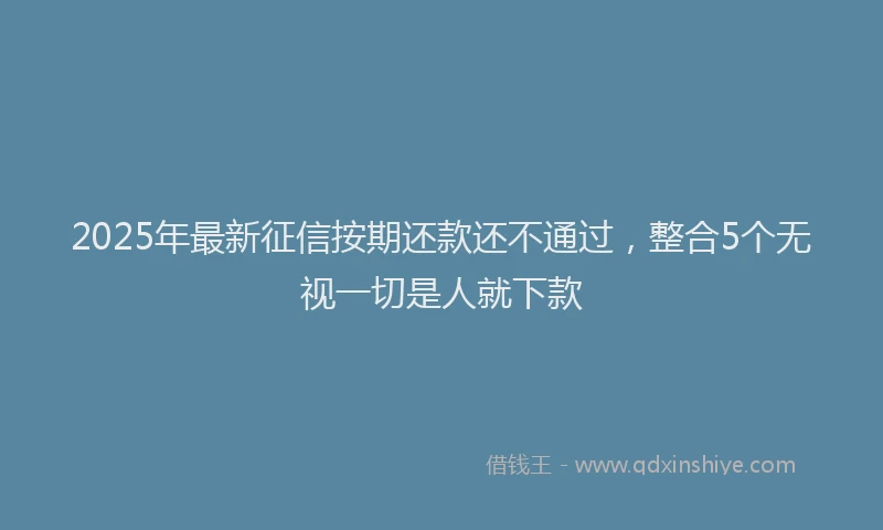 2025年最新征信按期还款还不通过，整合5个无视一切是人就下款