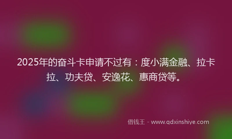 2025年的奋斗卡申请不过有：度小满金融、拉卡拉、功夫贷、安逸花、惠商贷等。