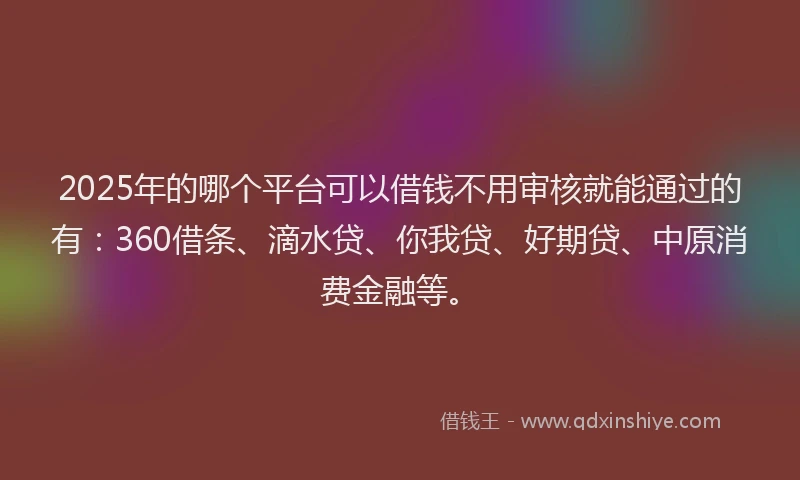2025年的哪个平台可以借钱不用审核就能通过的有：360借条、滴水贷、你我贷、好期贷、中原消费金融等。
