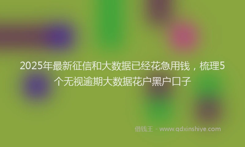 2025年最新征信和大数据已经花急用钱，梳理5个无视逾期大数据花户黑户口子