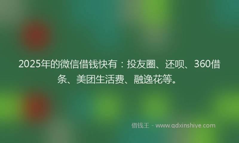 2025年的微信借钱快有：投友圈、还呗、360借条、美团生活费、融逸花等。