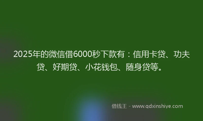 2025年的微信借6000秒下款有：信用卡贷、功夫贷、好期贷、小花钱包、随身贷等。
